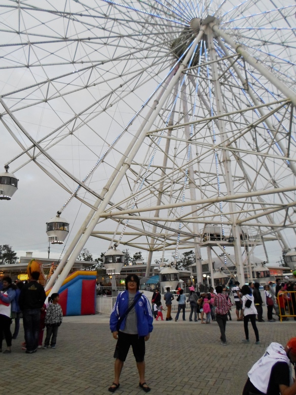 The tallest ferris wheel in the country.